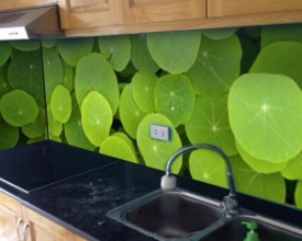 KÍNH MÀU ỐP BẾP 15